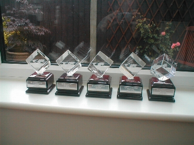 Enginuity 2012 Winners awards