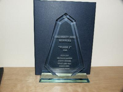 Enginuity 2010 Winners awards
