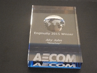 Enginuity 2015 Winners awards
