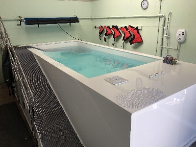 Hydrotherapy page image